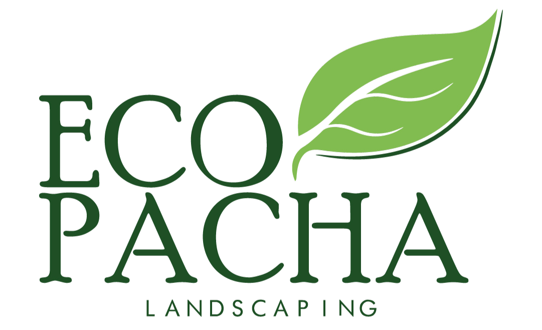 4aa542d8 ad65 4d1d af6a 59f4502e59cf