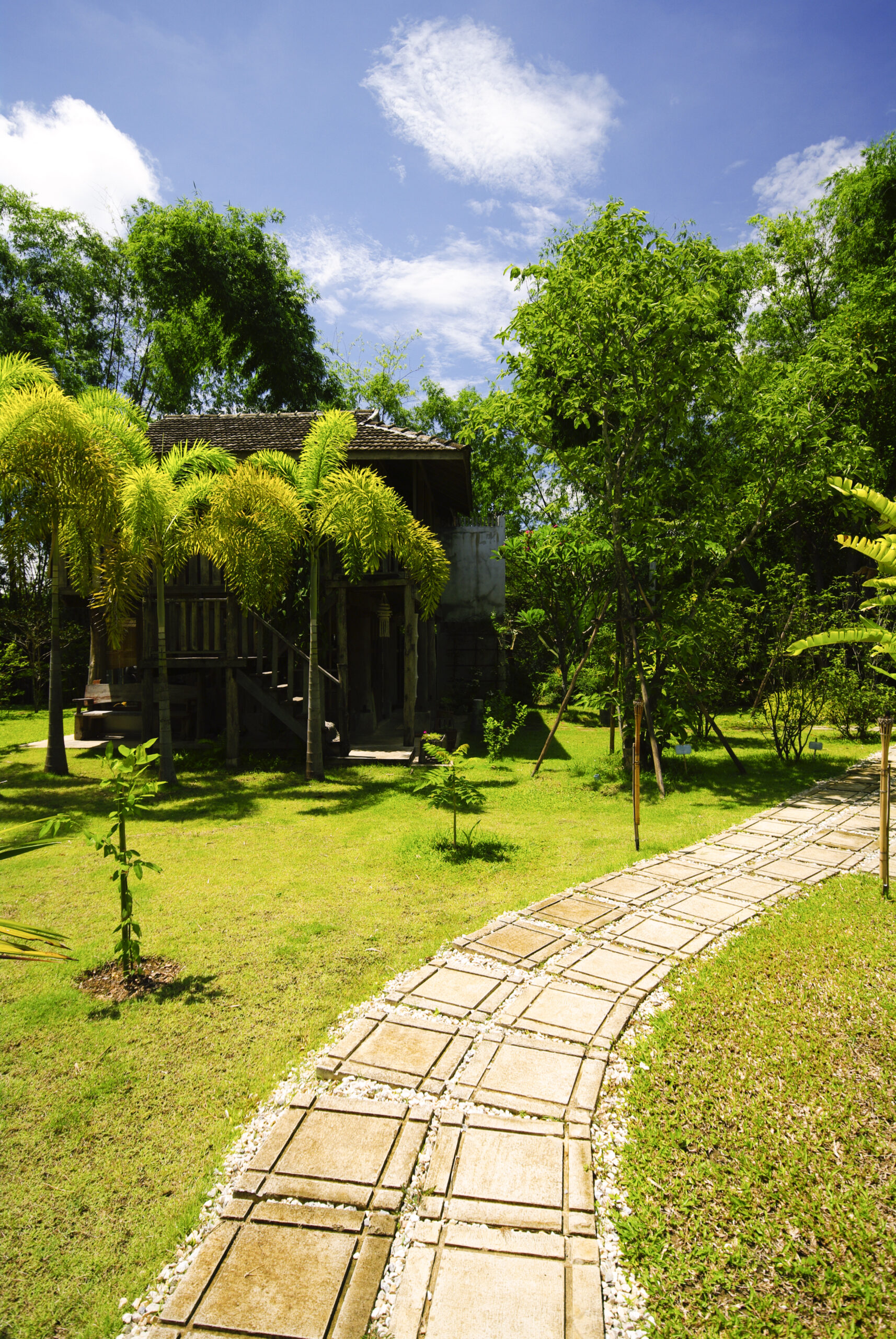 golden pattern on brown wood background texture SBI 301086050 scaled