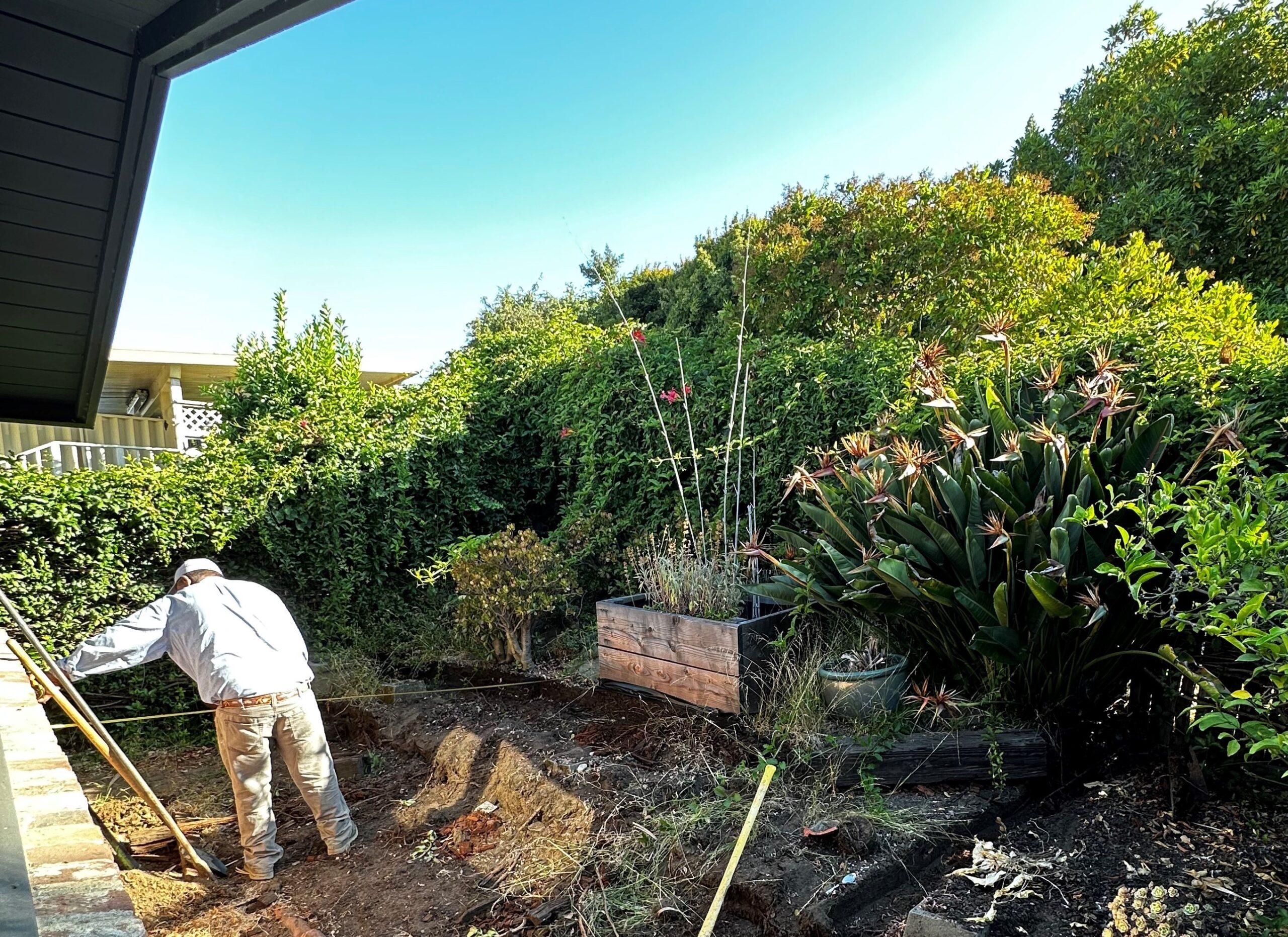 333300 scaled 333300 scaled