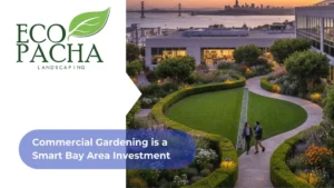 Commercial Gardening is a Smart Bay Area Investment