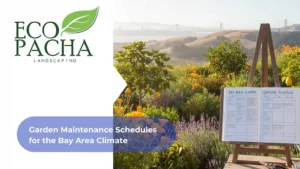 Garden Maintenance Schedules for the Bay Area Climate