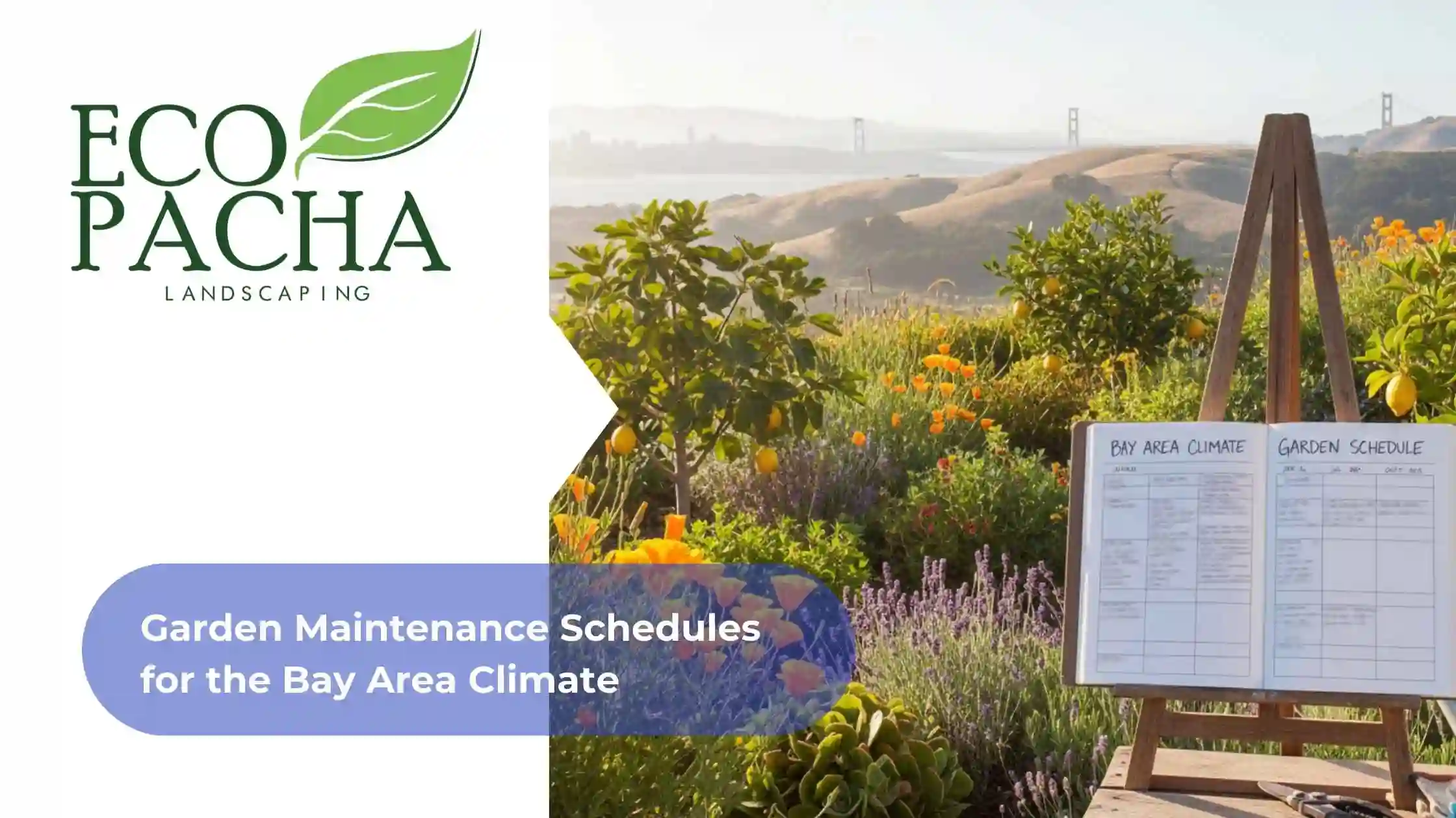 Garden Maintenance Schedules for the Bay Area Climate