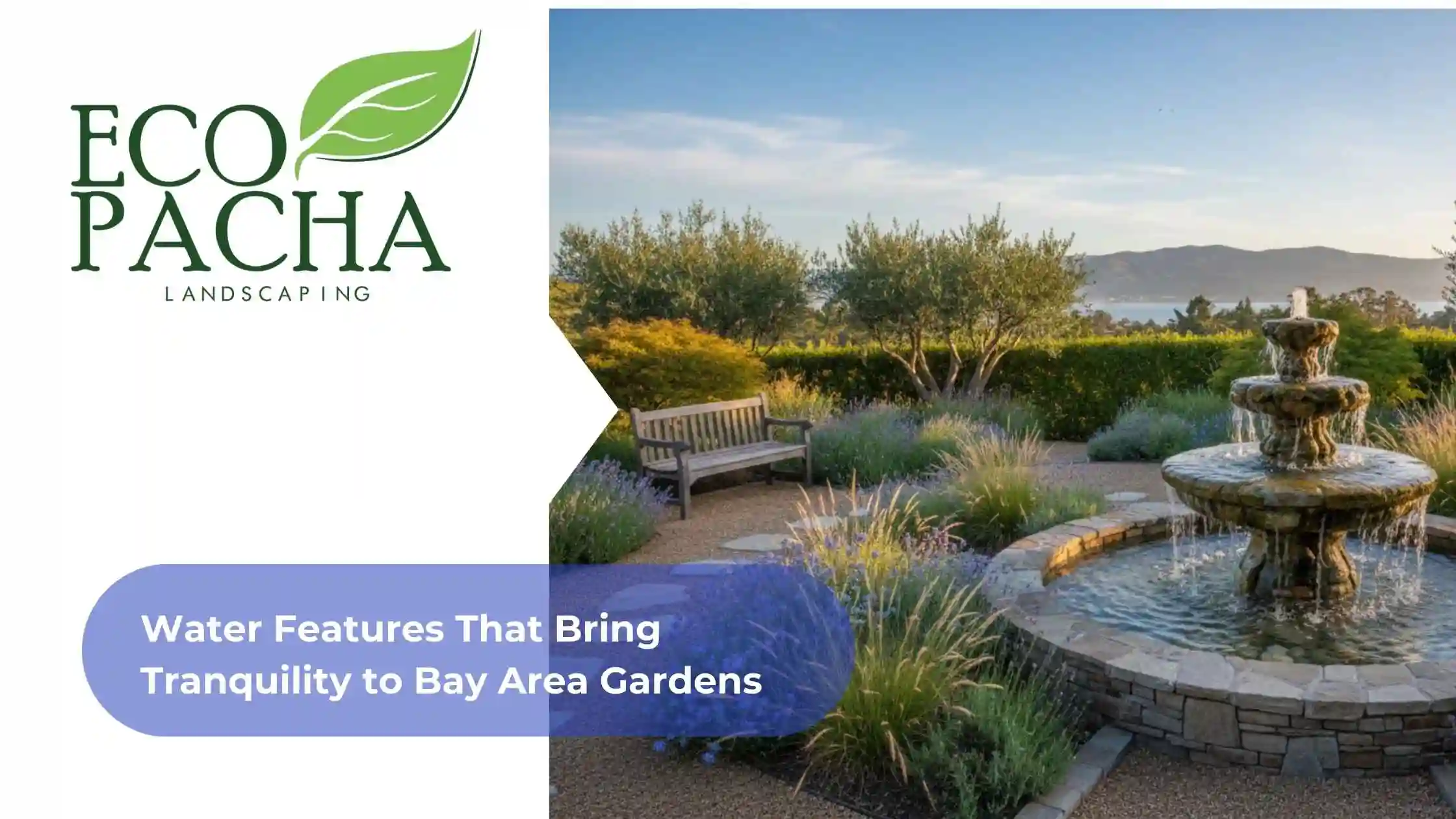 Water Features That Bring Tranquility to Bay Area Gardens