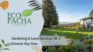 Gardening & Lawn Services for a Greener Bay Area