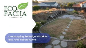Landscaping Redesign Mistakes Bay Area Should Avoid