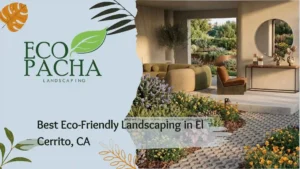 Best Eco-Friendly Landscaping in El Cerrito, CA
