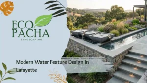 Modern Water Feature Design in Lafayette