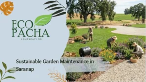 Sustainable Garden Maintenance in Saranap