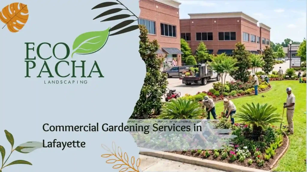 Commercial Gardening Services in Lafayette