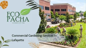Commercial Gardening Services in Lafayette