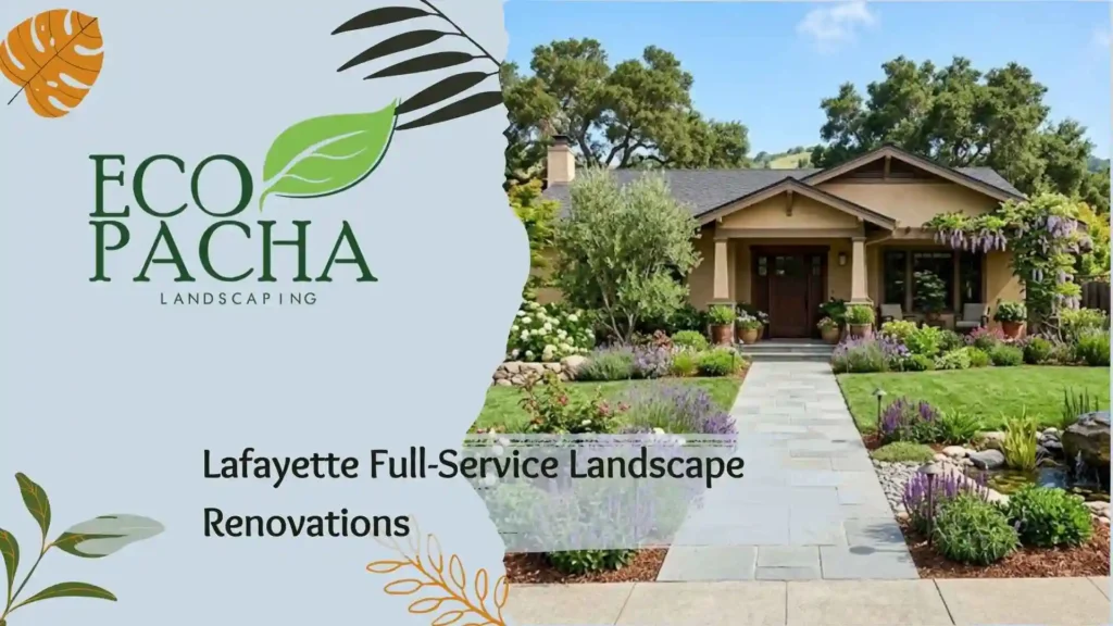 Lafayette Full-Service Landscape Renovations