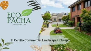 El Cerrito Commercial Landscape Upkeep