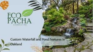 Custom Waterfall and Pond Features in Oakland