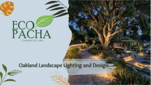 Oakland Landscape Lighting and Design
