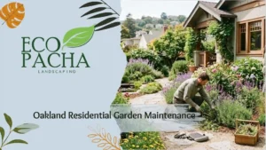 Oakland Residential Garden Maintenance