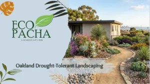 Oakland Drought-Tolerant Landscaping